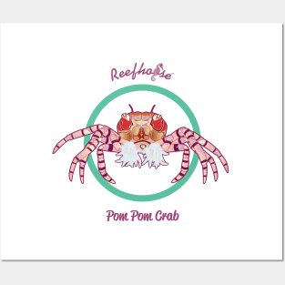 Pom Pom Crab Posters and Art